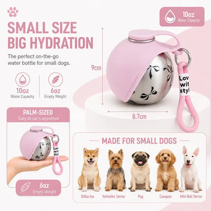 Eorthex 2-In-1 Portable Pet Water Bottle with Bowl, 10Oz Stainless Steel Travel Pet Water Dispenser, No‑Spill Leak‑Proof Design with Silicone Bowl, Perfect for Walking, Hiking, and Travel